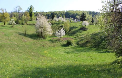 Značilne kraške oblike površja z obdelanimi vrtačami