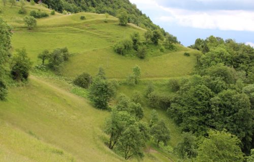 Strmi travniki pod Malim Kumom pred prvo košnjo