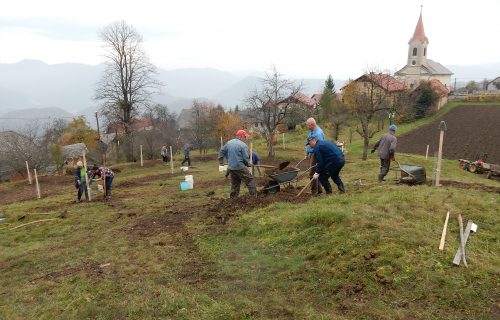 Prostovoljna akcija sajenja sadnih sadik Kum