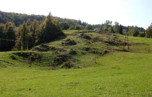 Zaraščajoči travnik pred začetkom izvajanja del