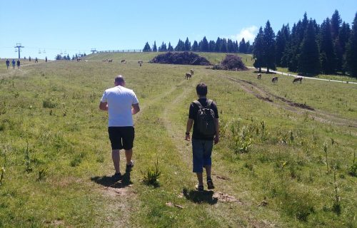 Ogled napredovanja del na Rogli