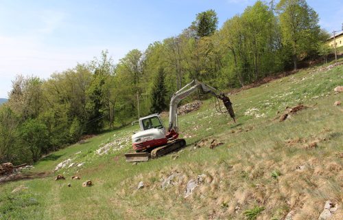 Odstranjevanje skalnih samic na projektnih površinah