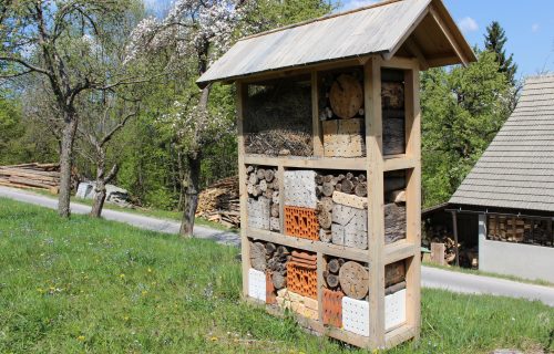 Hotel za žuželke postavljen v projektu