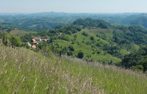 Razgibana in mozaična podoba Haloz pri Veliki Varnici