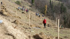 Prostovoljna akcija sajenja visokodebelnih sadnih dreves Čerinovo