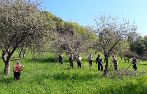 Delavnica prikaza rezi v Cirkulanah