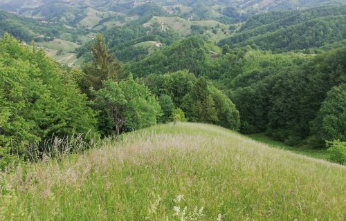 Razgled na Vzhodne Haloze iz sv.Avguština