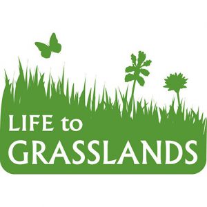cropped-GRASSLANDS.jpg