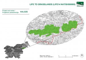 map_area_haloze