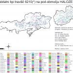 Rezultati projekta