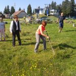 Tradicionalno košnjo pohorskih planj je spremljala sončna nedelja