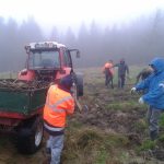 Deževna 9. tradicionalna prostovoljna akcija čiščenja zaraščajočih travišč na Pohorju