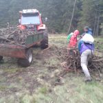 Deževna 9. tradicionalna prostovoljna akcija čiščenja zaraščajočih travišč na Pohorju