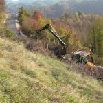 Prostovoljna akcija odstranjevanja zarasti na območju Čerinovega