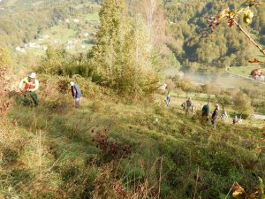 Na kmetiji Žerko je bila izvedena 3. prostovoljna akcija čiščenja zaraščajočih travnikov na Kumu