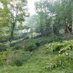 Na Kumu 2. prostovoljna akcija čiščenja zaraščajočih travnikov združila sosesko sodelovanje dveh kmetij Smodiš in Dolanc