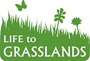 Travišča - Life to Grasslands