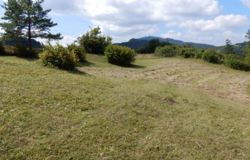 Pozno košen travnik na Čimernem
