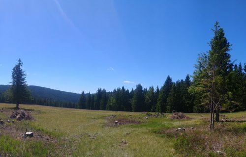 Panorama območja Planinke