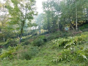 Na Kumu 2. prostovoljna akcija čiščenja zaraščajočih travnikov združila sosesko sodelovanje dveh kmetij Smodiš in Dolanc