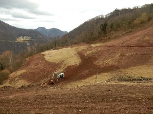 Na Kumu zaključili z deli odstranjevanja zarasti