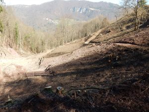 Na Kumu zaključili z deli odstranjevanja zarasti